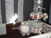 Second Picture of Baby Nursery with Owls